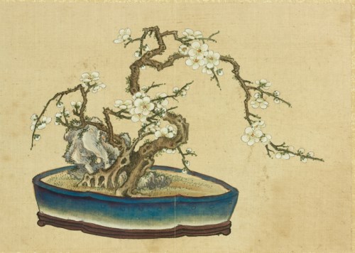 百卉清供－瓶花與盆景畫特展